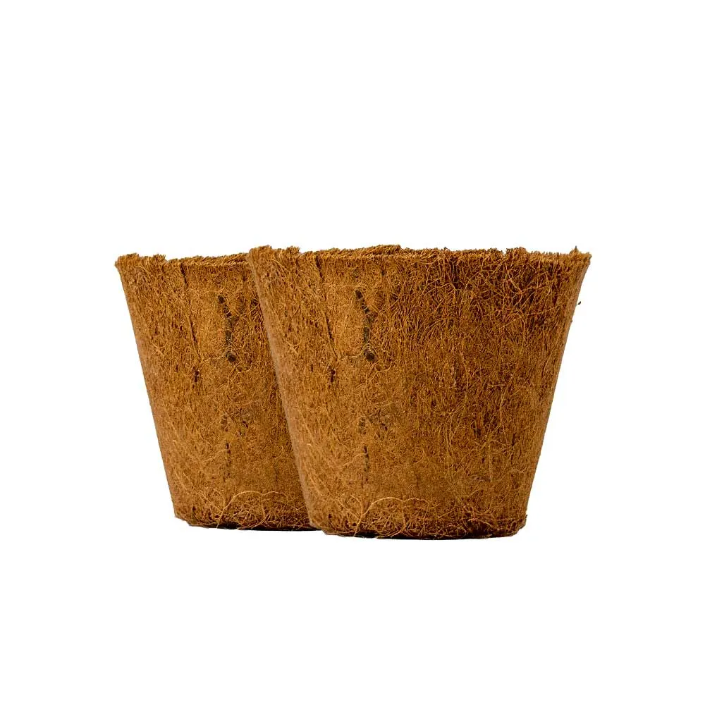 Set of two Coir Pot 6 inch for eco-friendly gardening