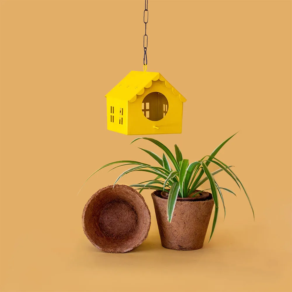 Set of two Coir Pot 6 inch for eco-friendly gardening