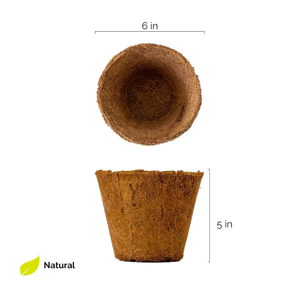 Set of two Coir Pot 6 inch for eco-friendly gardening