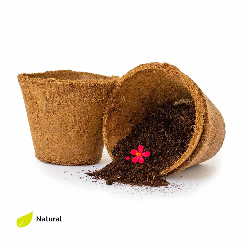 Set of two Coir Pot 6 inch for eco-friendly gardening
