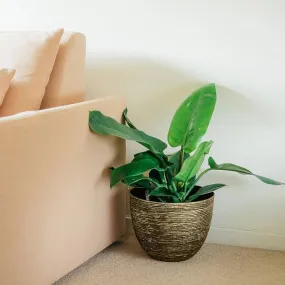 SG Traders ™ Large Round Plastic Spiral Garden Plant Pot