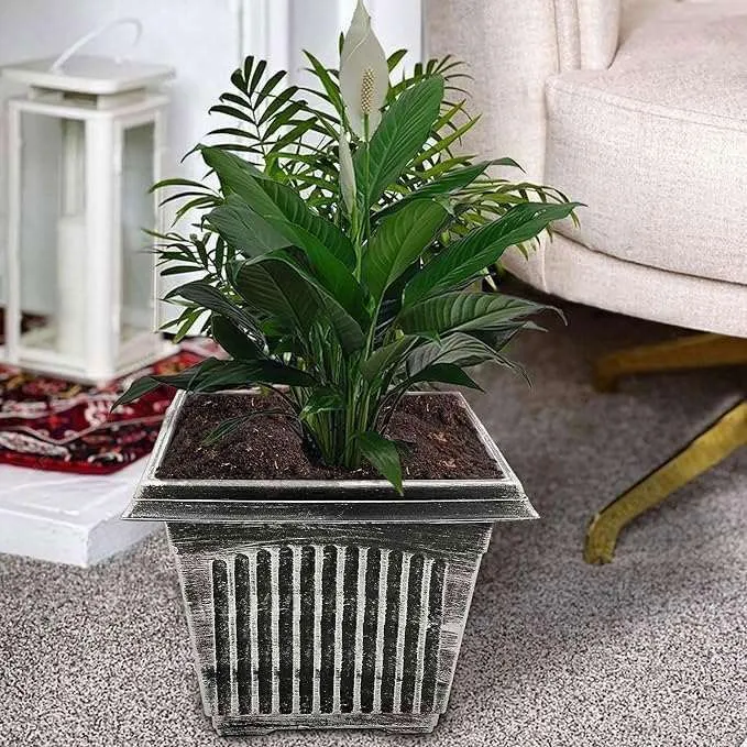 SG Traders Large Square Plastic Planter for Garden (Pack of 2)