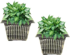 SG Traders Large Square Plastic Planter for Garden (Pack of 2)