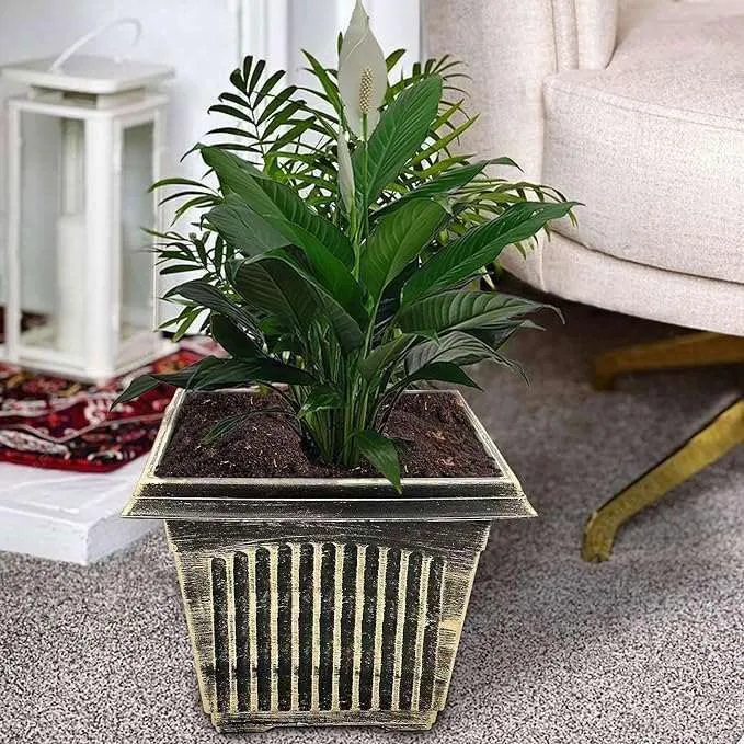 SG Traders Large Square Plastic Planter for Garden (Pack of 2)