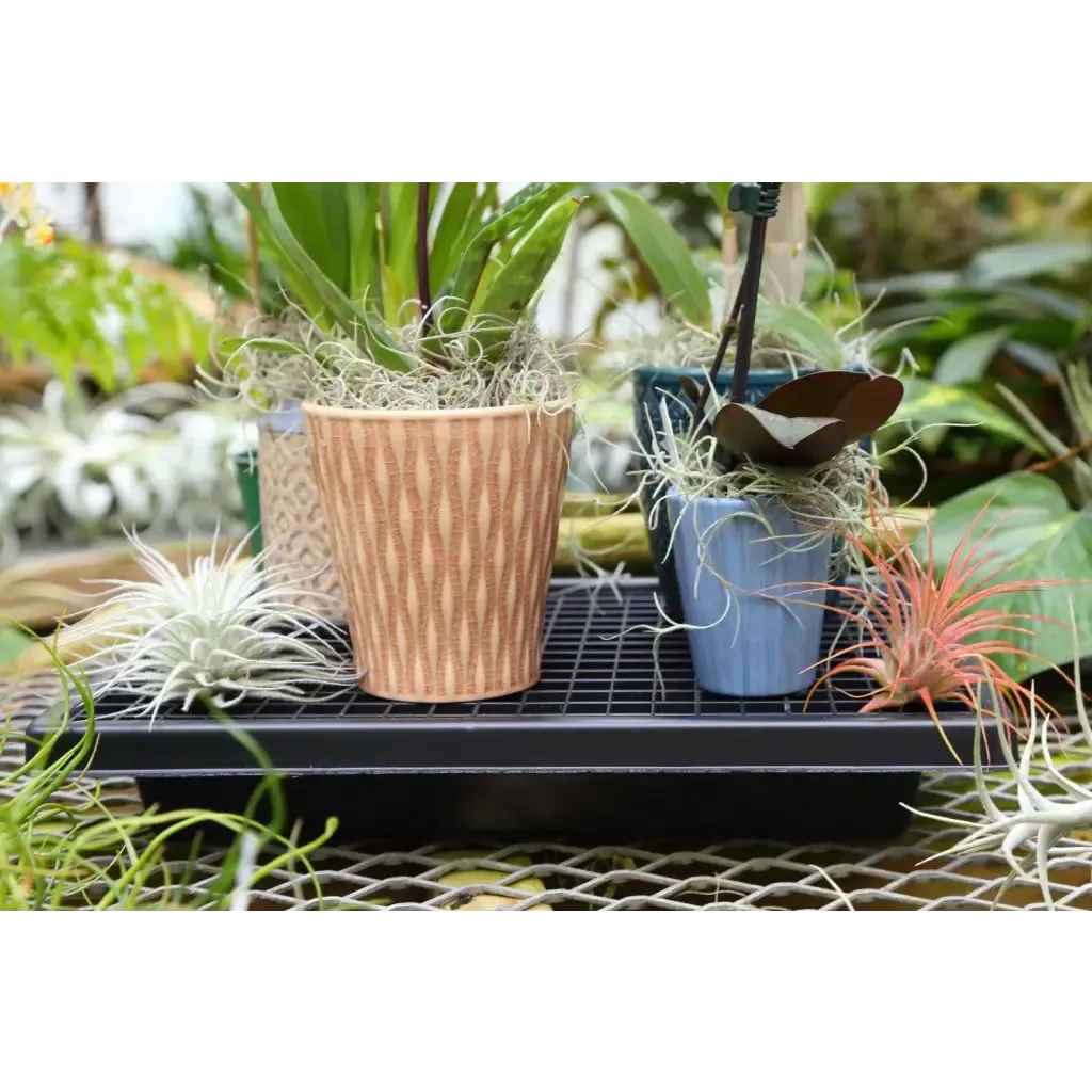 Small Humidi-Grow ™ Tray (HT-101)