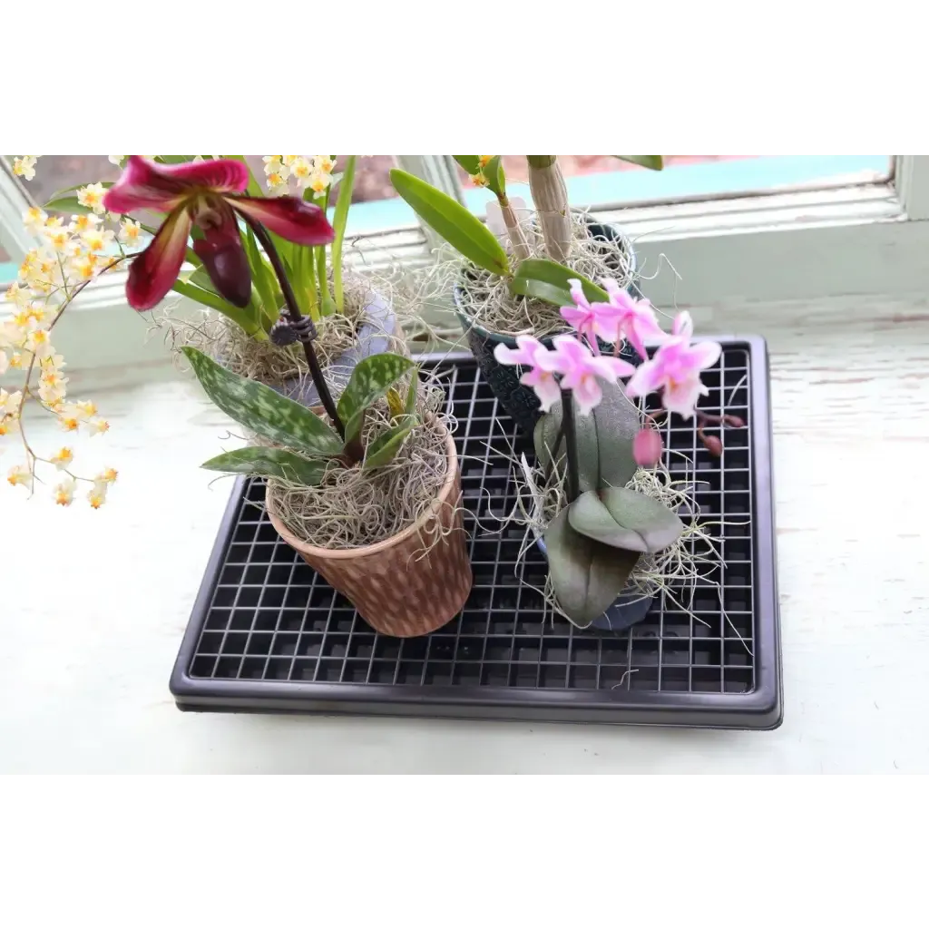 Small Humidi-Grow ™ Tray (HT-101)