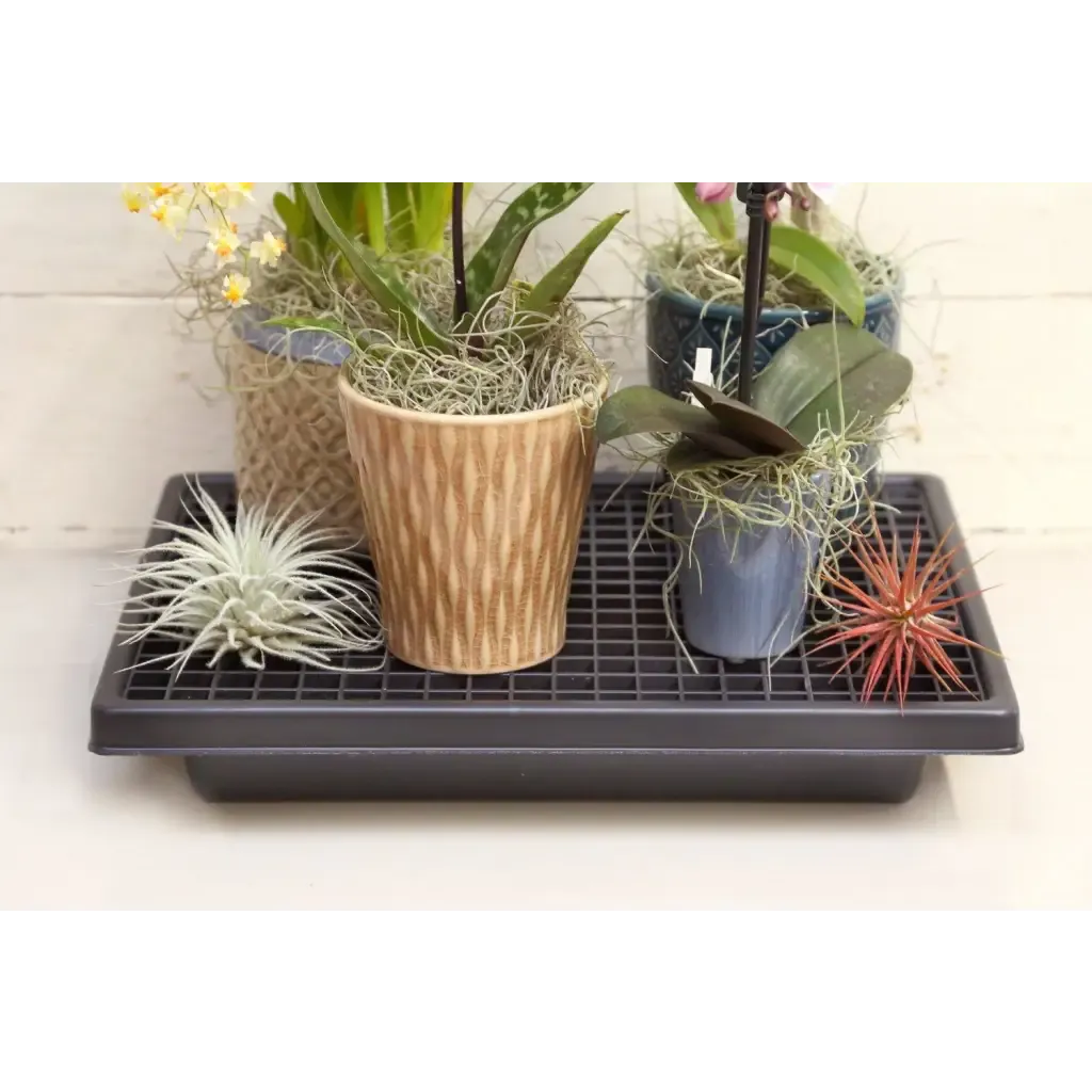 Small Humidi-Grow ™ Tray (HT-101)