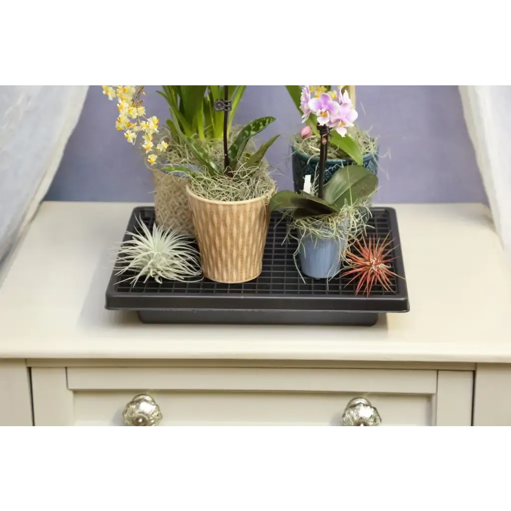 Small Humidi-Grow ™ Tray (HT-101)