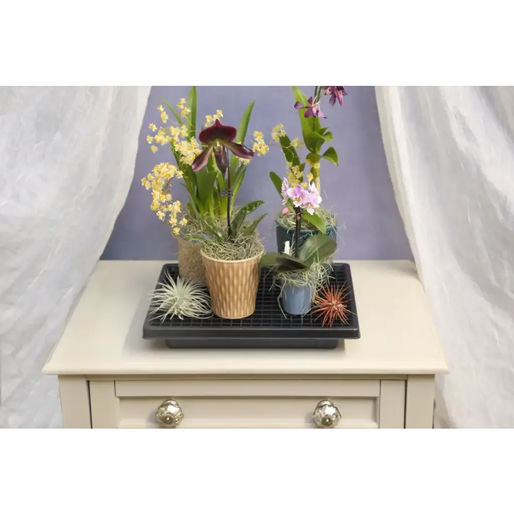 Small Humidi-Grow ™ Tray (HT-101)