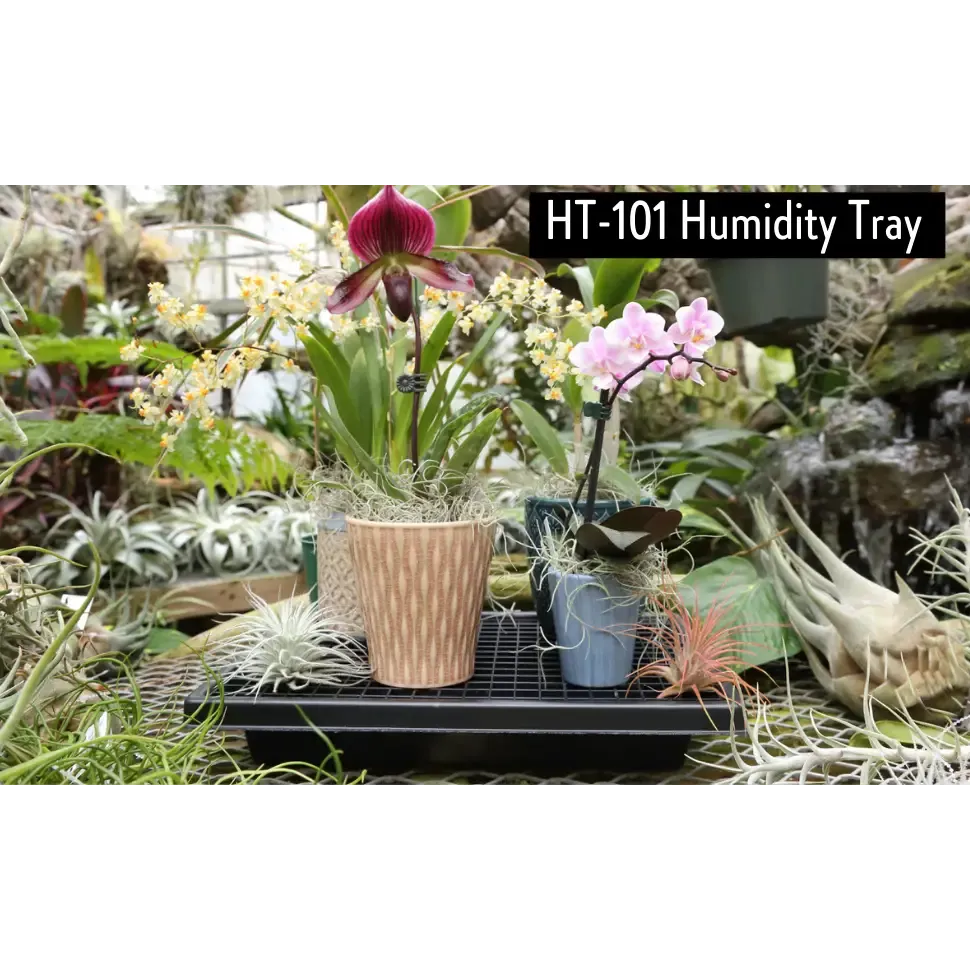 Small Humidi-Grow ™ Tray (HT-101)