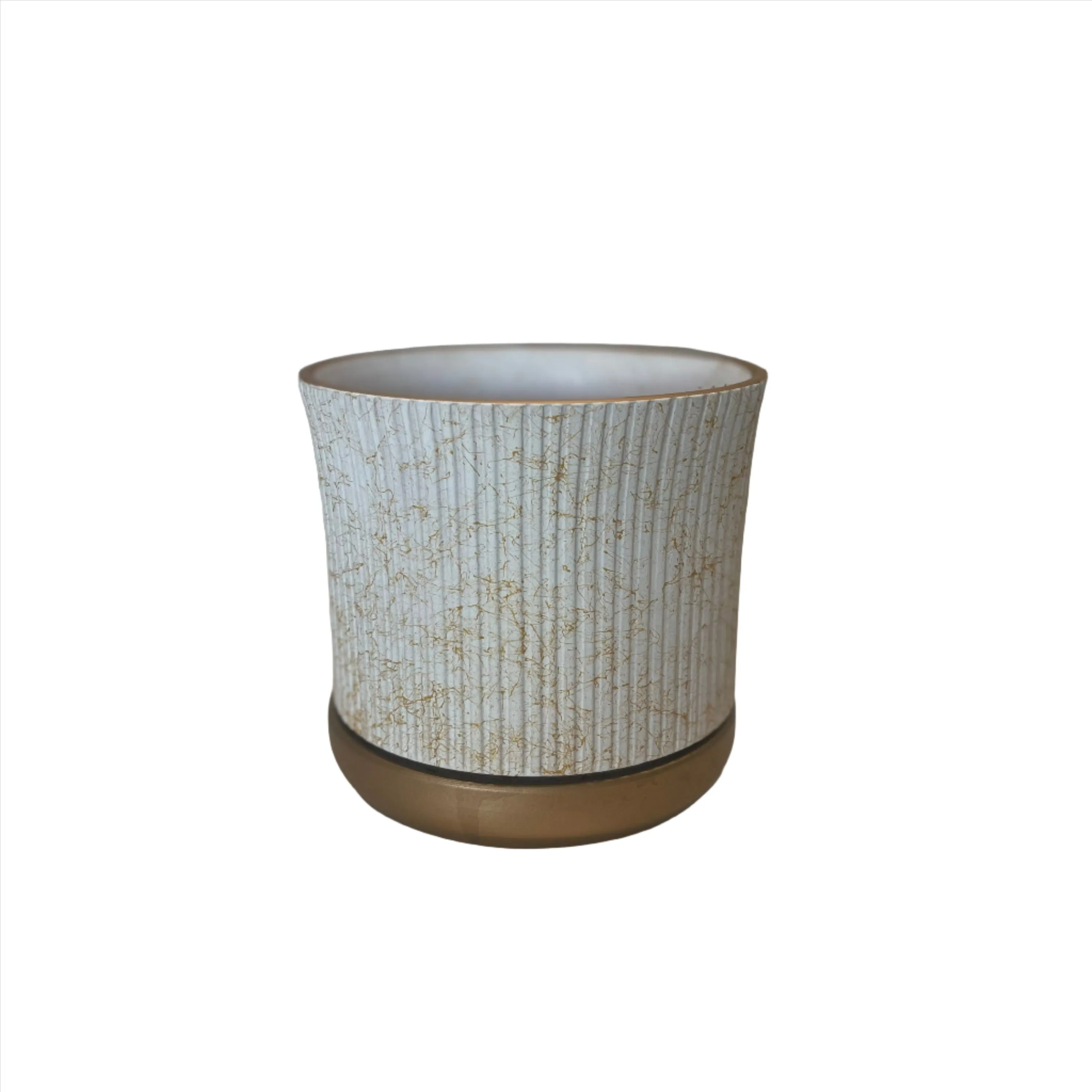 Snake Plant in a Ceramic Pot 50-60cm