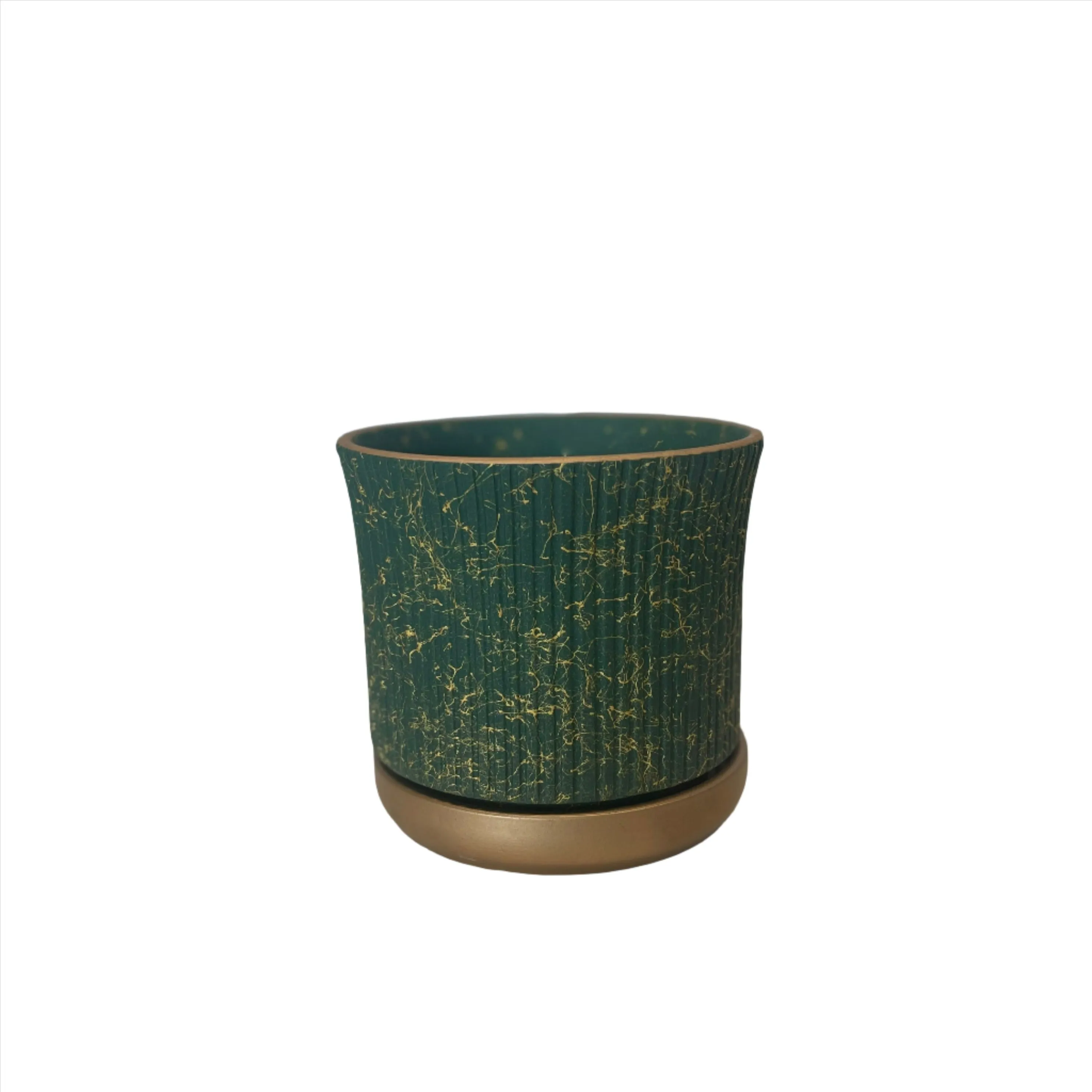 Snake Plant in a Ceramic Pot 50-60cm