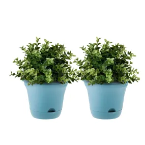 SOGA 20cm Blue Plastic Plant Pot Self Watering Planter Flower Bonsai Indoor Outdoor Garden Decor Set of 2