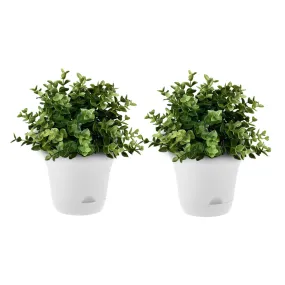 SOGA 20cm White Plastic Plant Pot Self Watering Planter Flower Bonsai Indoor Outdoor Garden Decor Set of 2