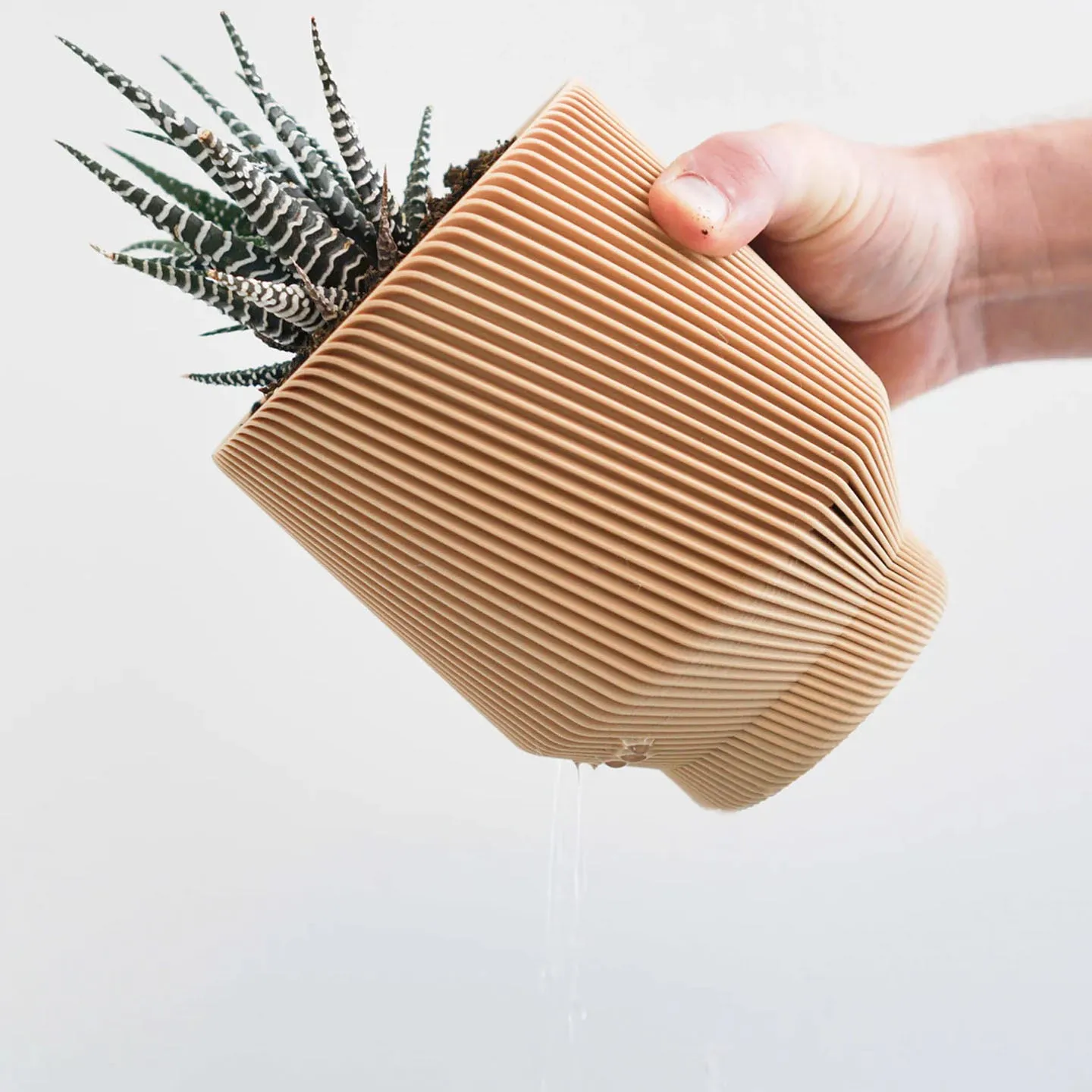 Spruce Planter- 6"