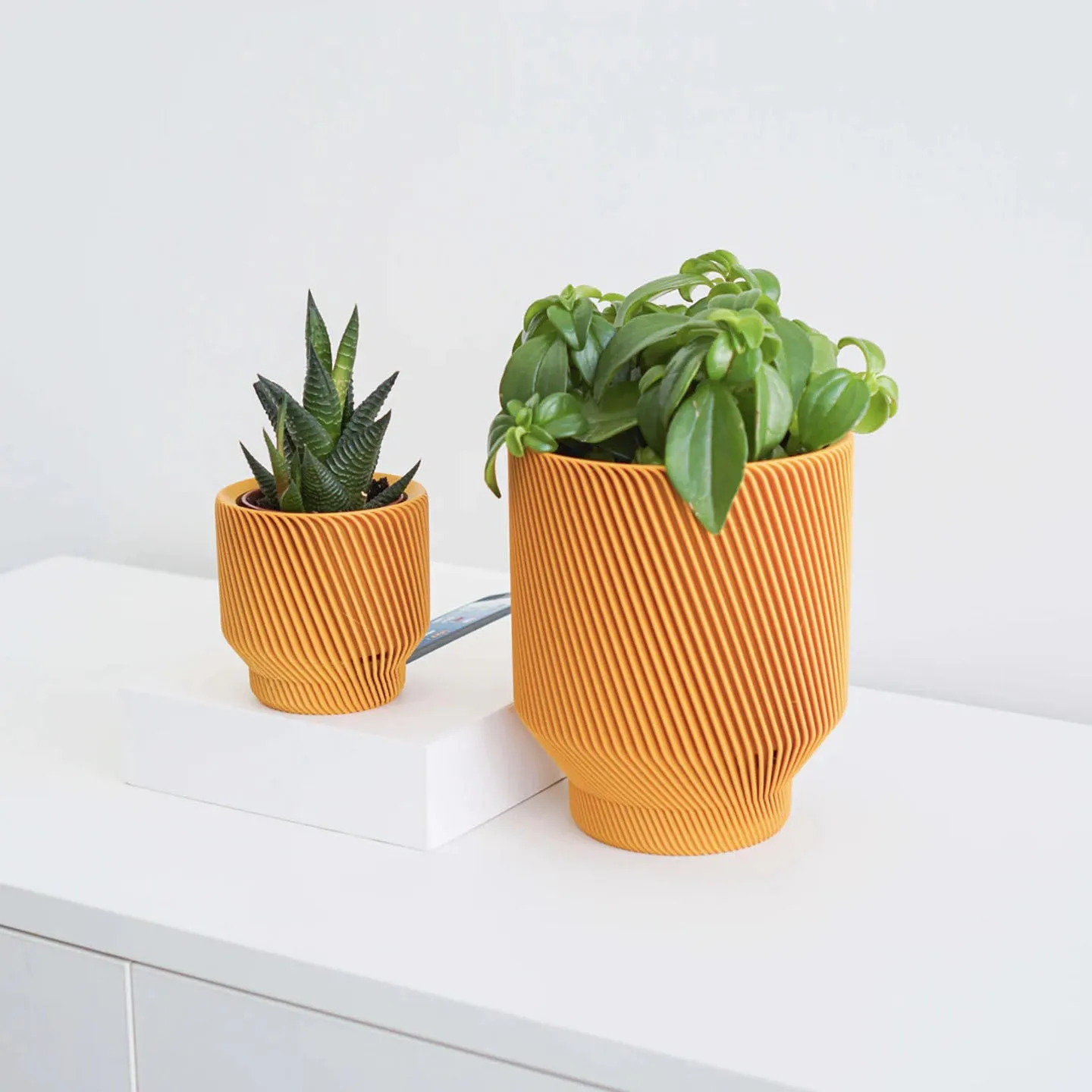 Spruce Planter- 6"