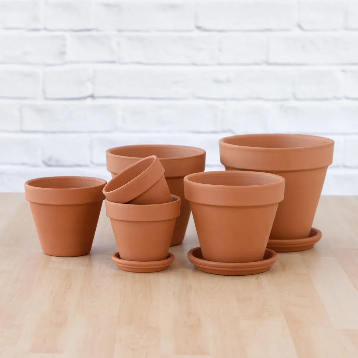 Terracotta Pot & Saucer - Standard