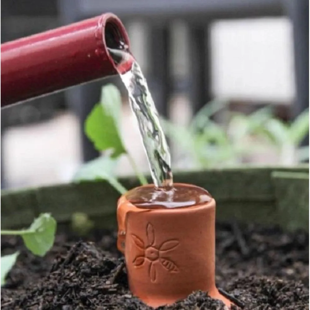 The Bird Waterpot Olla - 1L