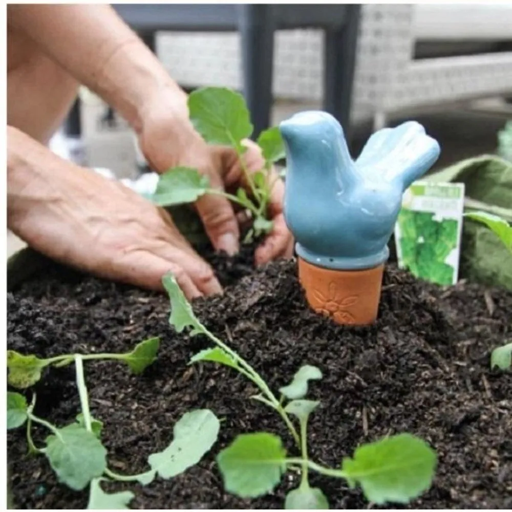 The Bird Waterpot Olla - 1L