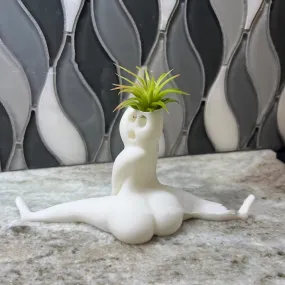 The Yoga Pose Planter