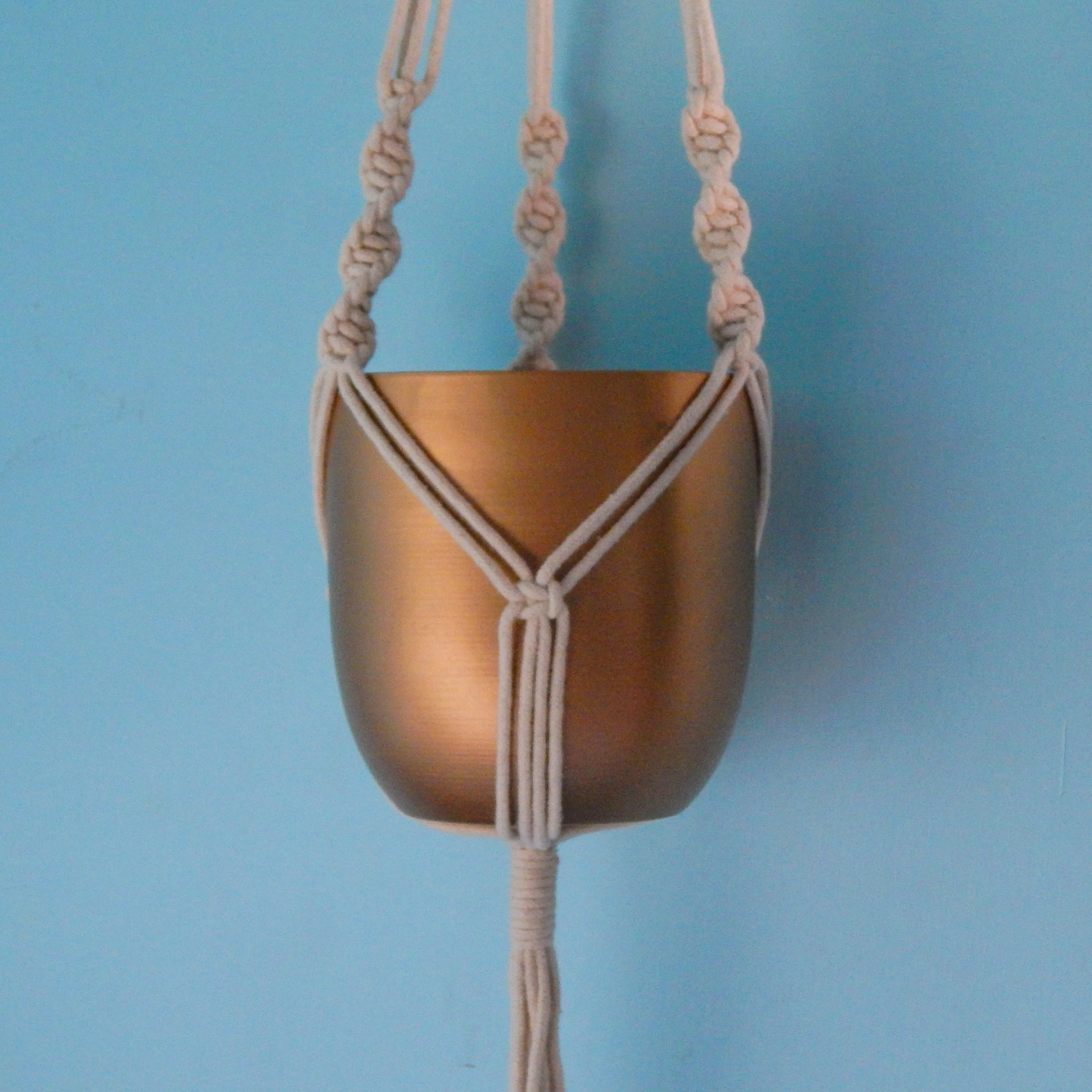 Twisted Macrame Plant Hanger