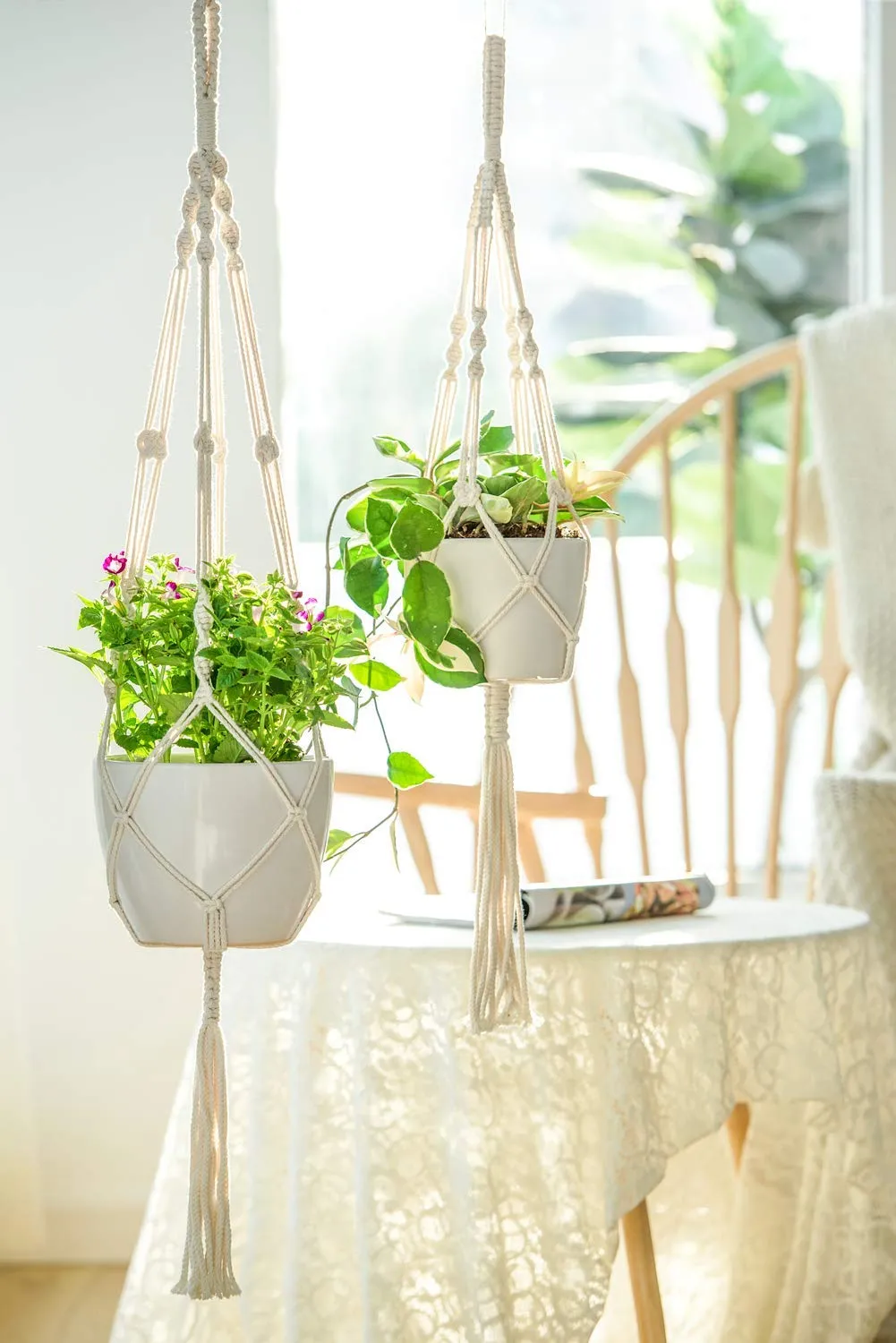 Twisted Macrame Plant Hanger