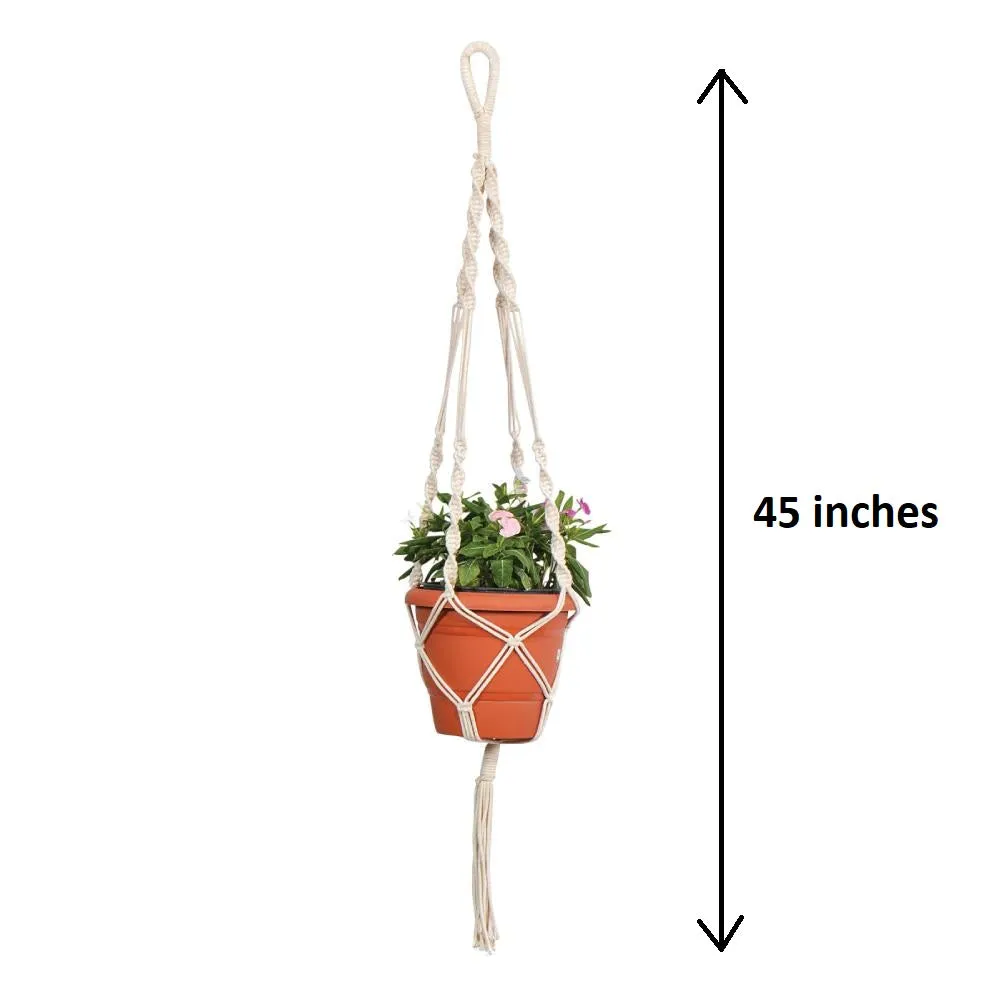 Twisted Macrame Plant Hanger