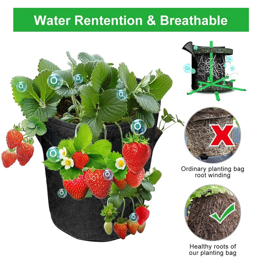 Vegetable Grow Bag