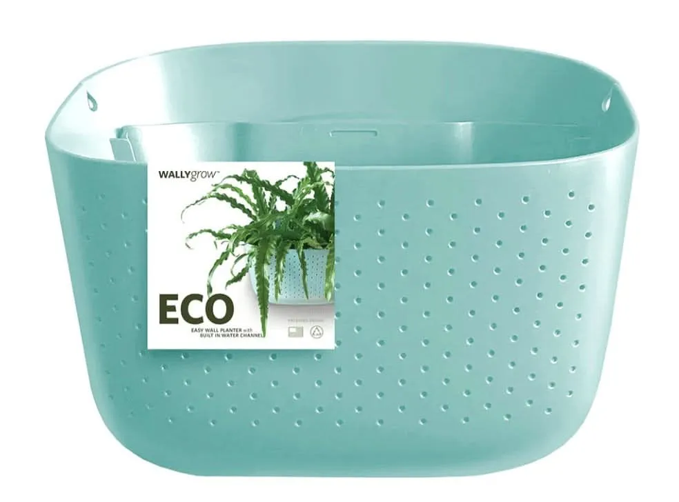 Wally Eco Living Wall Planter