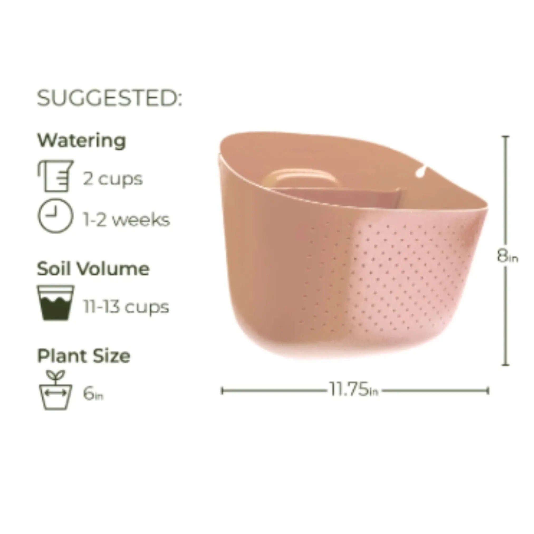 Wally Eco Living Wall Planter