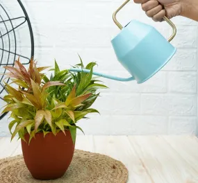 Watering Can For Plants | Terrace Garden Accessories - Sky Blue (0.9 Lt)