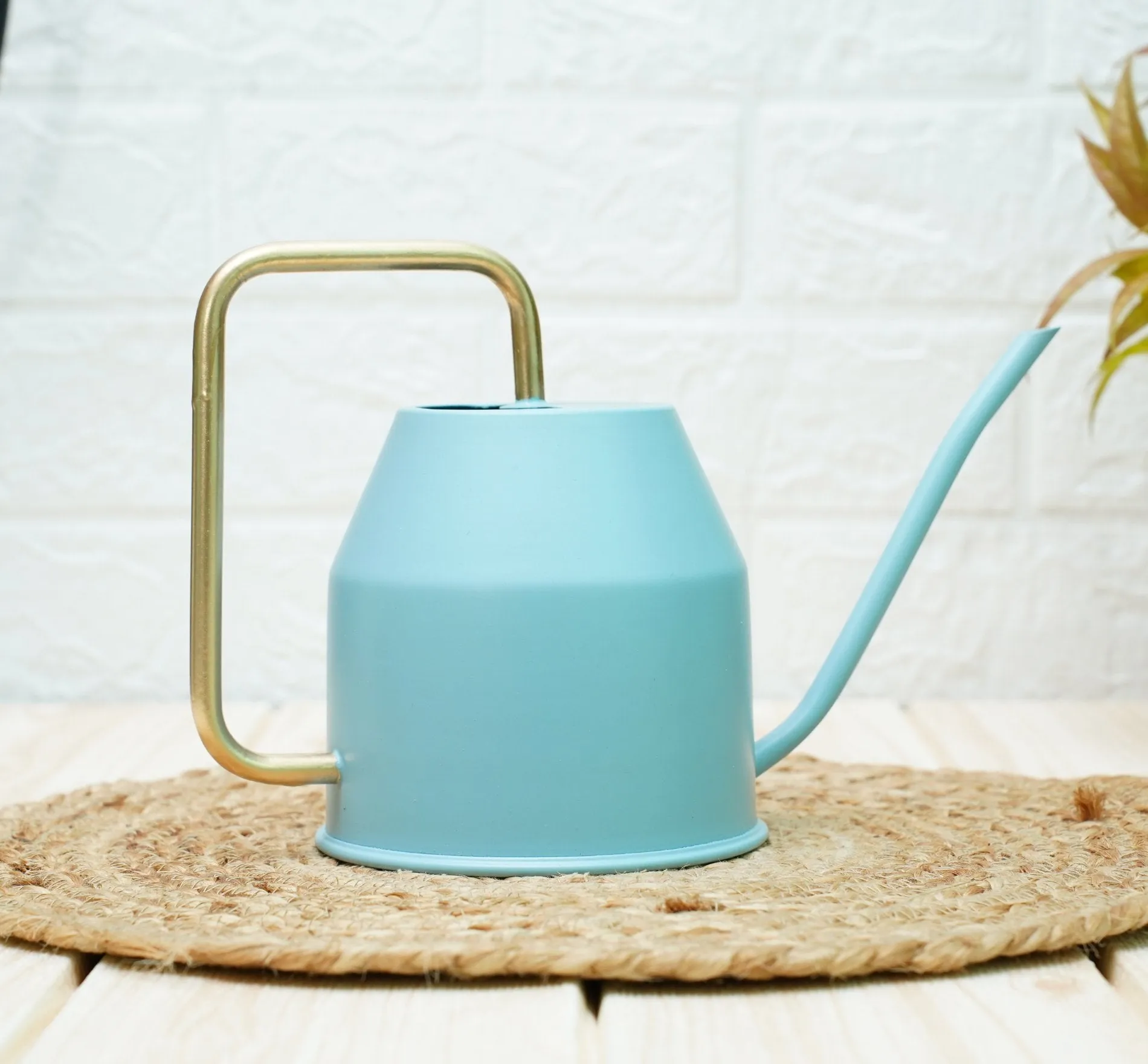 Watering Can For Plants | Terrace Garden Accessories - Sky Blue (0.9 Lt)