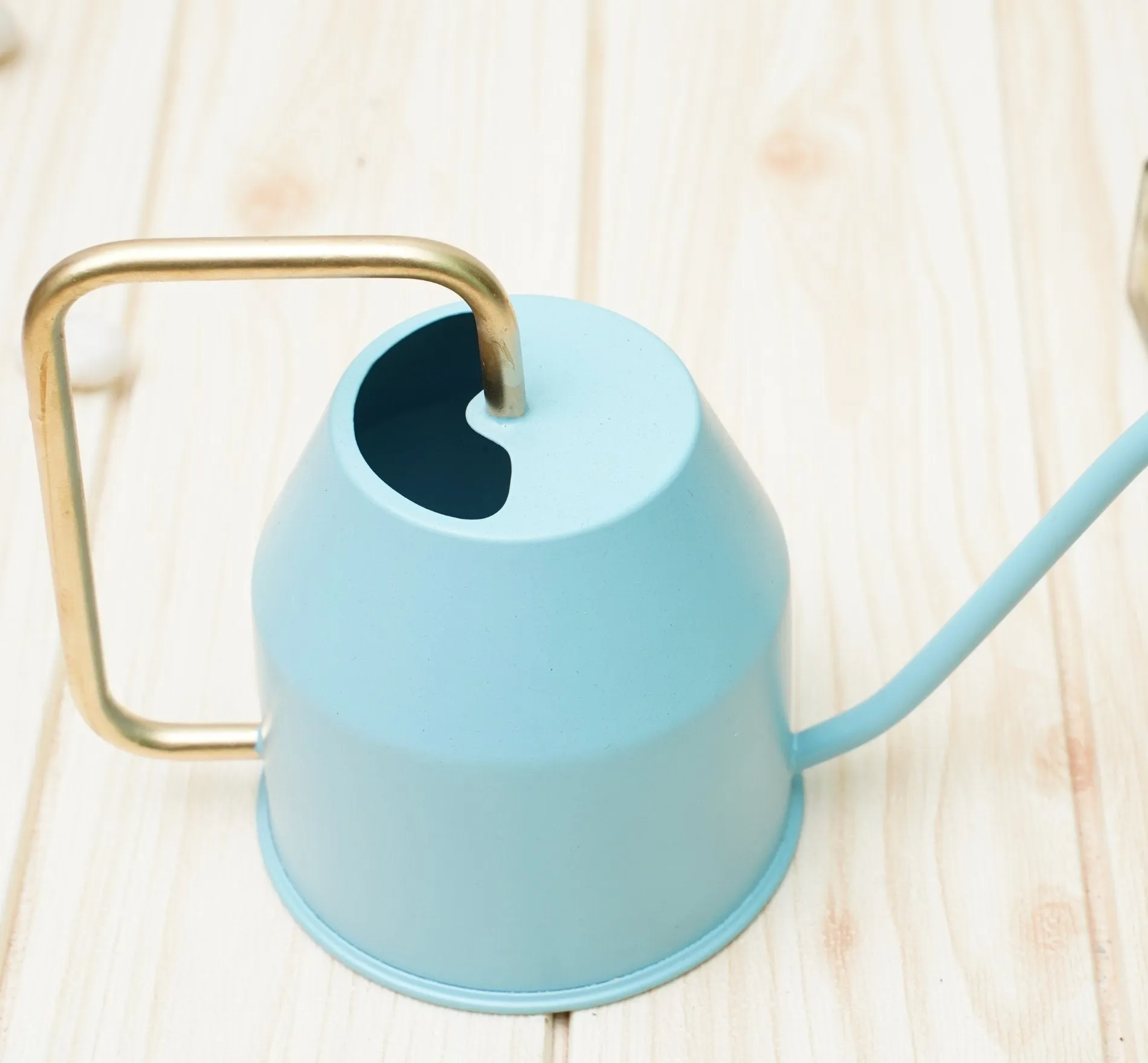 Watering Can For Plants | Terrace Garden Accessories - Sky Blue (0.9 Lt)
