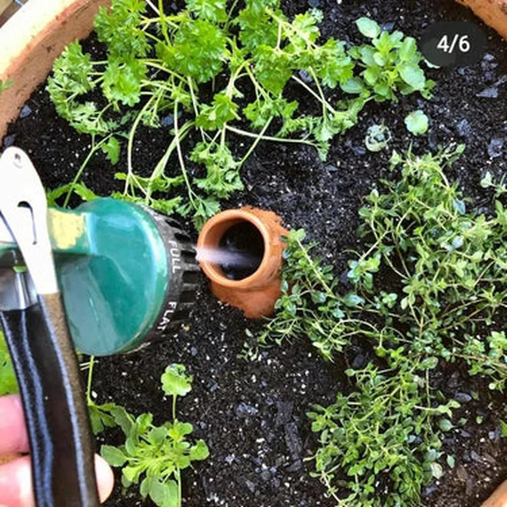Waterpot Tall Olla - 1L