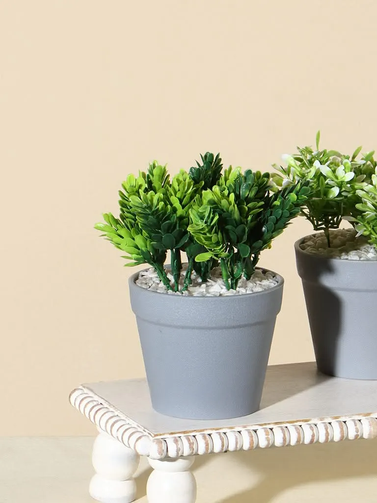 Westside Home Green Pinecone Plant