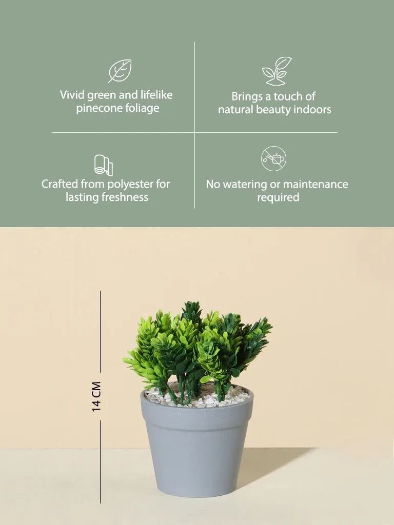 Westside Home Green Pinecone Plant