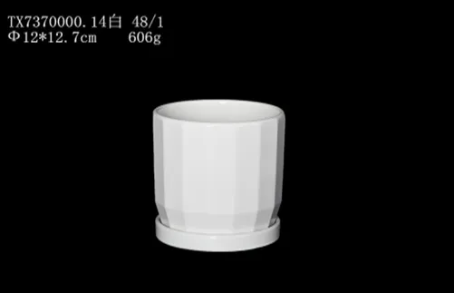 White Ceramic Pot with Plate: Perfect for Indoor Gardens