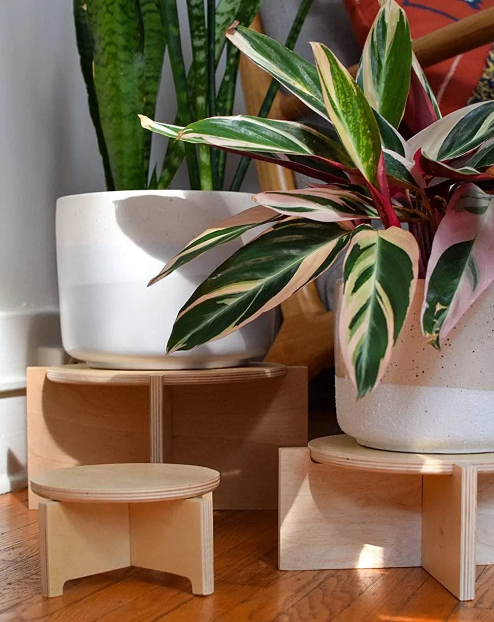 Whittlewud Wooden Modern Wood Plant Stand, Stylish Planter for Floor, Pot Stand for Indoor Plants for Balcony Wooden